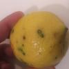 Mancha negra en frutos de limon
