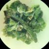 Trioza tabebuiae