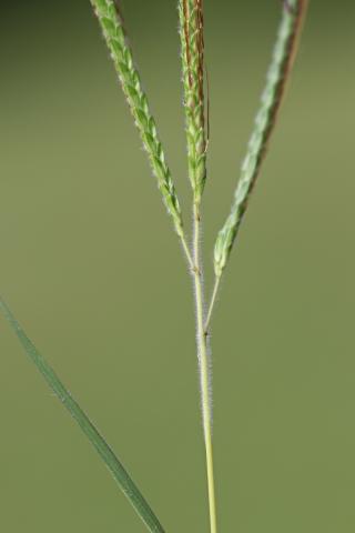 108360-6.jpg